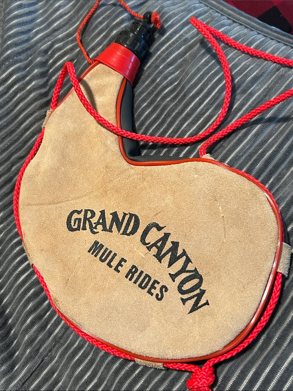 Mule Rides Suede Water Canteen with Red Accents